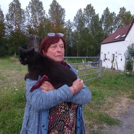 Apartament Ferme Lenfant Rez Ville-Pommeroeul Zewnętrze zdjęcie