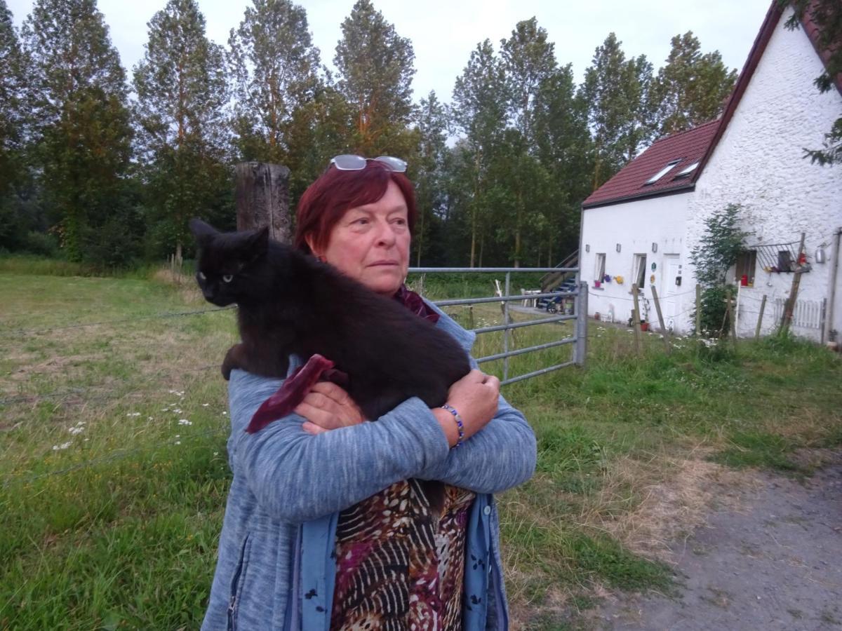 Apartament Ferme Lenfant Rez Ville-Pommeroeul Zewnętrze zdjęcie